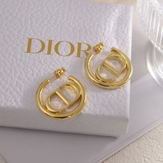 Christian Dior Earrings